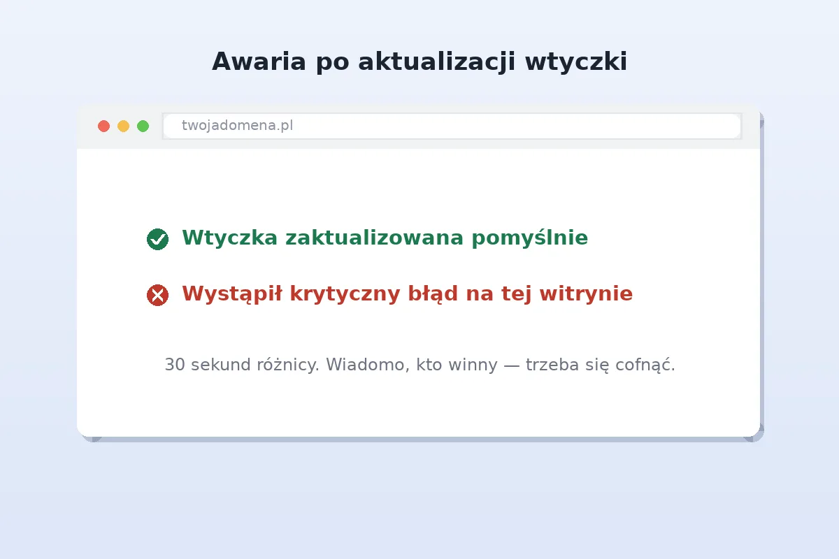Ekran aktualizacji wtyczek WordPressa